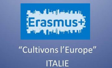 Erasmus, Scuola e Vino