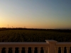 2012-05-17-19.48.16_resized