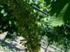 azienda-033