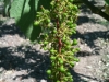 azienda-034