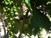 azienda-036